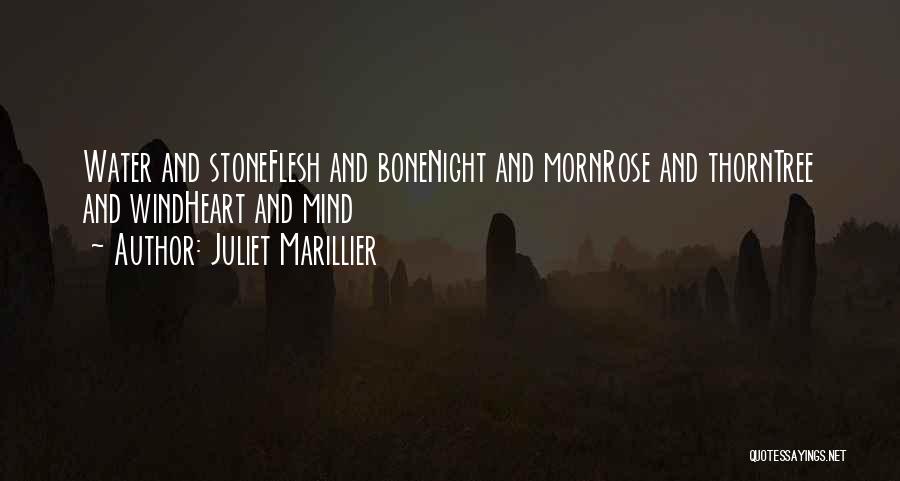 Rose Thorn Quotes By Juliet Marillier