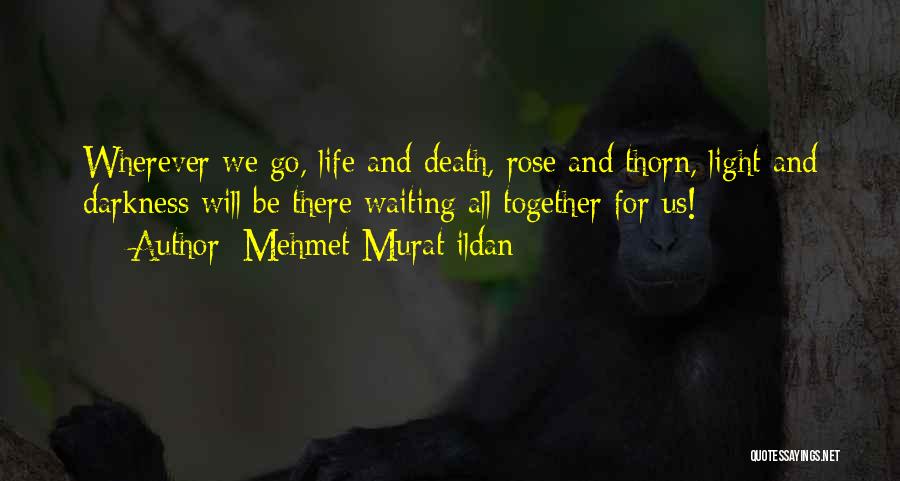 Rose Thorn Quotes By Mehmet Murat Ildan