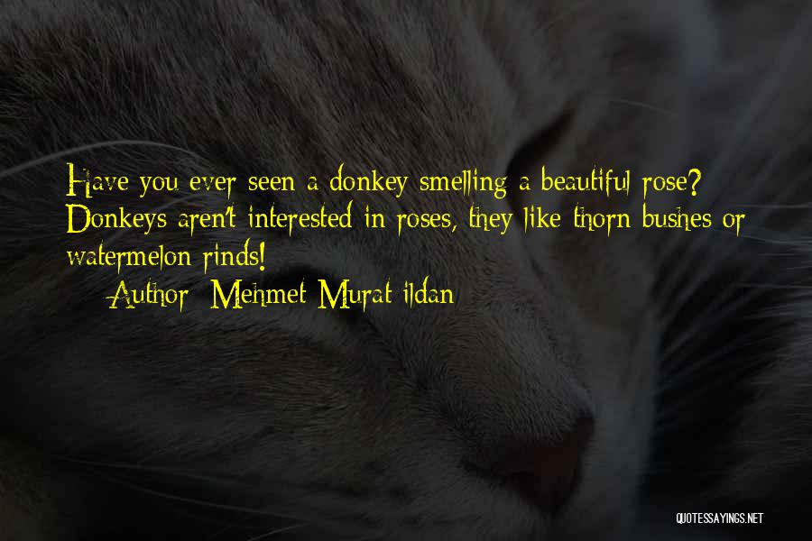 Rose Thorn Quotes By Mehmet Murat Ildan