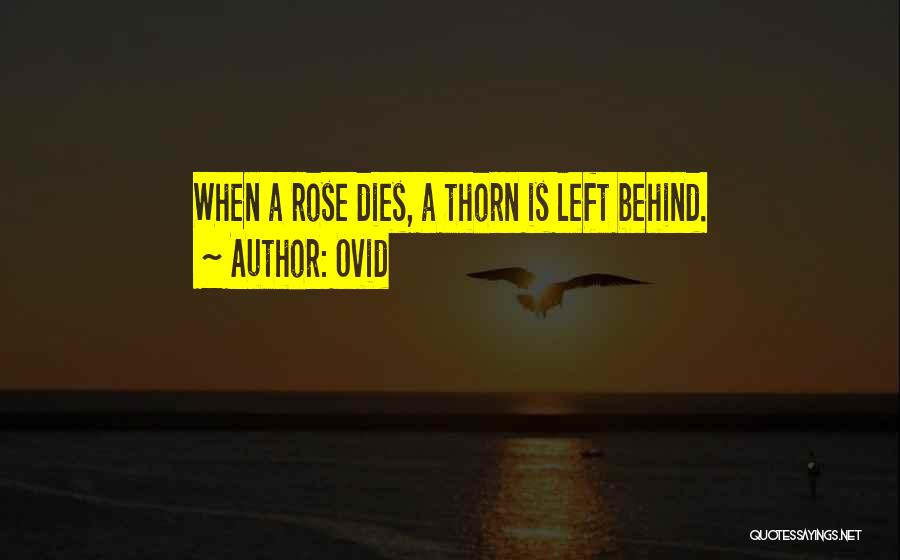 Rose Thorn Quotes By Ovid