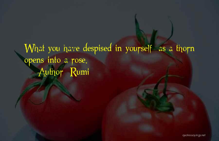 Rose Thorn Quotes By Rumi
