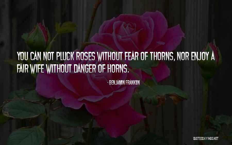 Rose Thorns Quotes By Benjamin Franklin