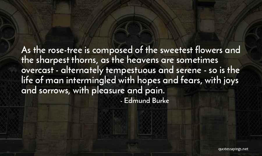 Rose Thorns Quotes By Edmund Burke