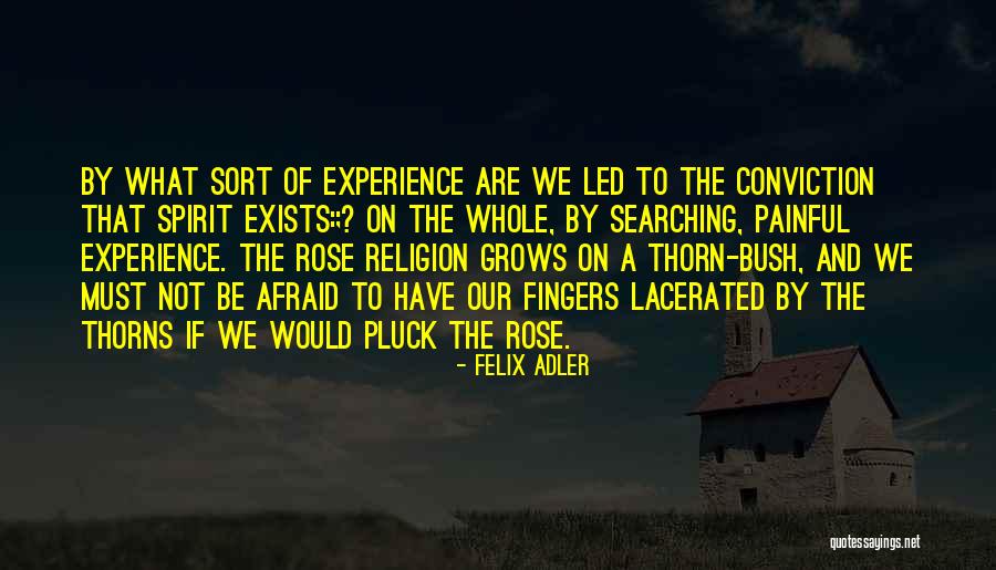 Rose Thorns Quotes By Felix Adler