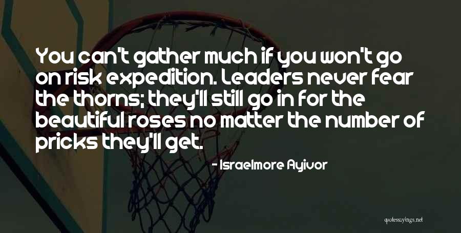 Rose Thorns Quotes By Israelmore Ayivor