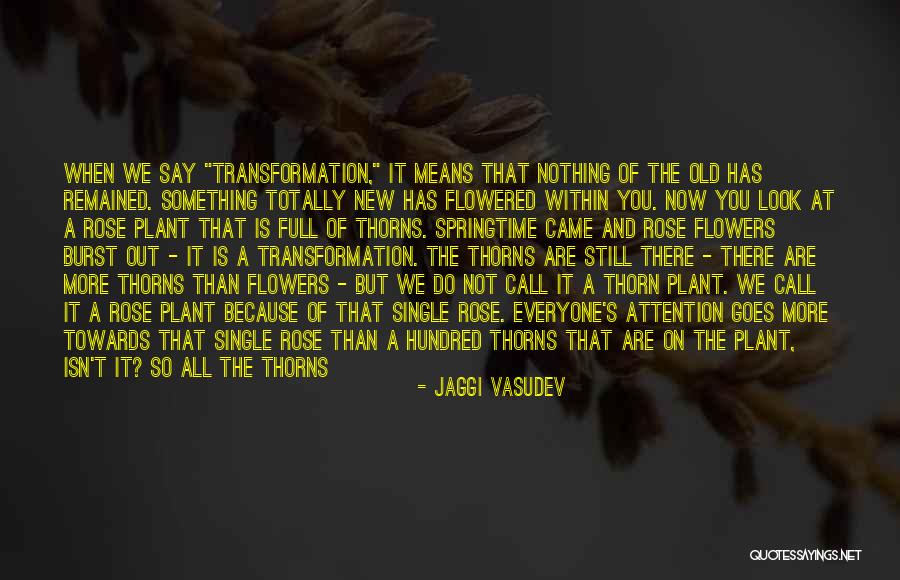 Rose Thorns Quotes By Jaggi Vasudev