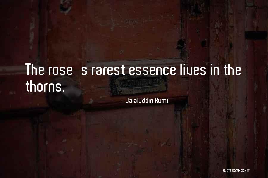 Rose Thorns Quotes By Jalaluddin Rumi