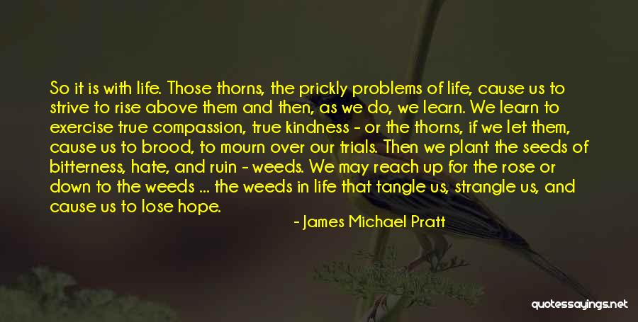 Rose Thorns Quotes By James Michael Pratt