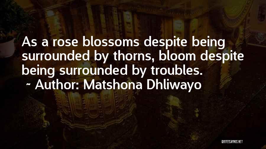 Rose Thorns Quotes By Matshona Dhliwayo