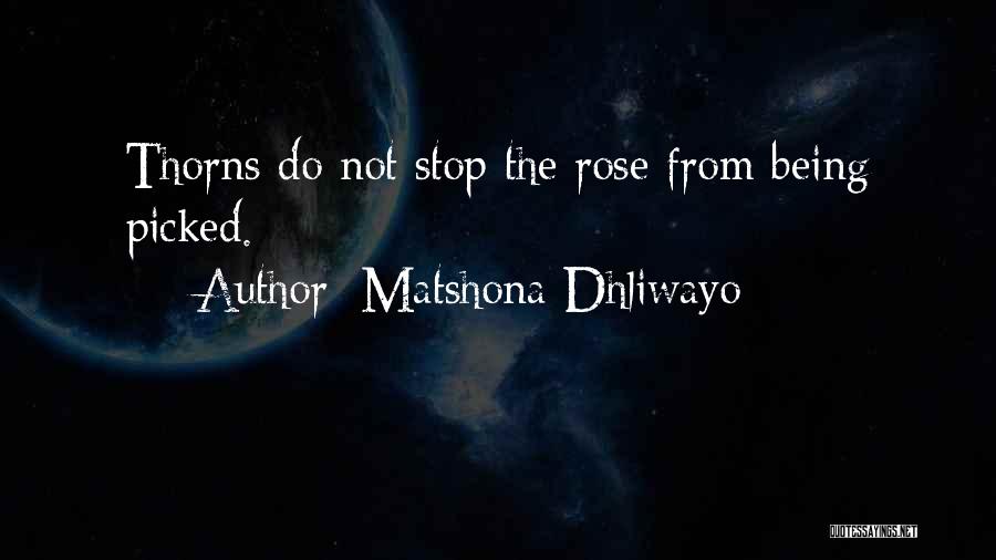 Rose Thorns Quotes By Matshona Dhliwayo