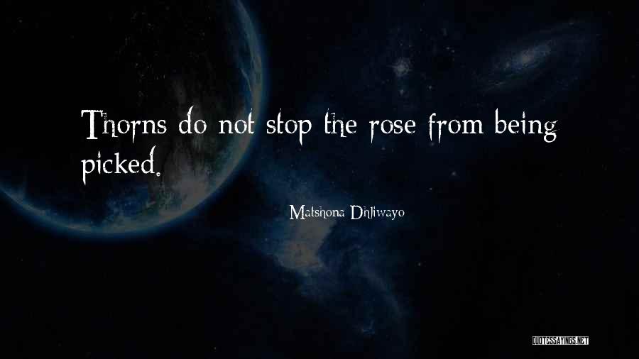 Rose Thorns Quotes By Matshona Dhliwayo