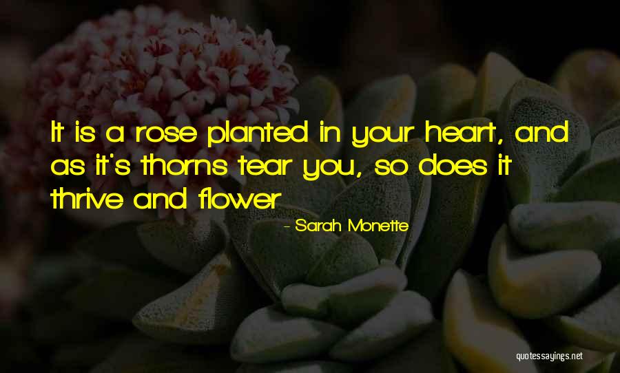 Rose Thorns Quotes By Sarah Monette