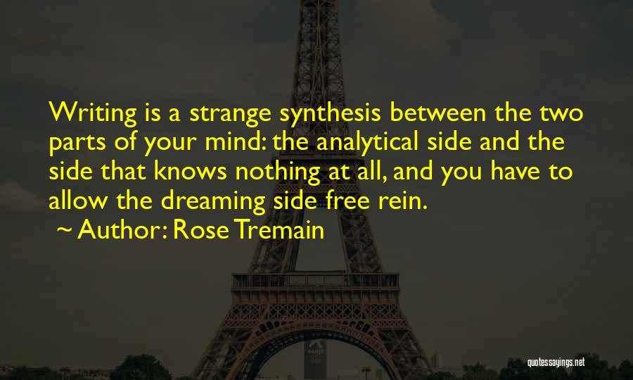 Rose Tremain Quotes 1868866