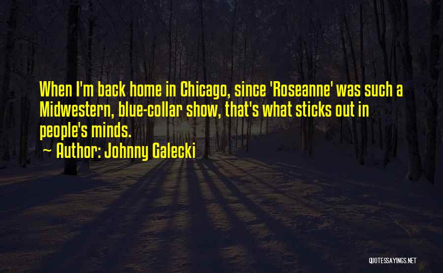 Roseanne Quotes By Johnny Galecki