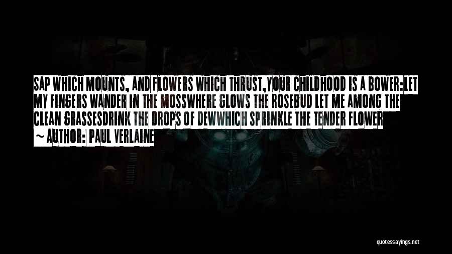 Rosebud Quotes By Paul Verlaine Rosebud Quotes By Paul Verlaine