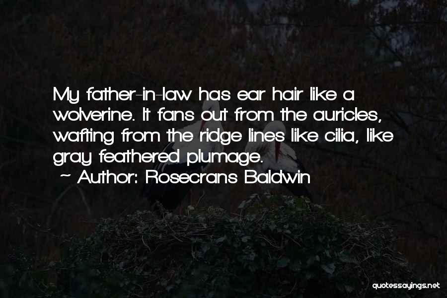 Rosecrans Baldwin Quotes 1714619