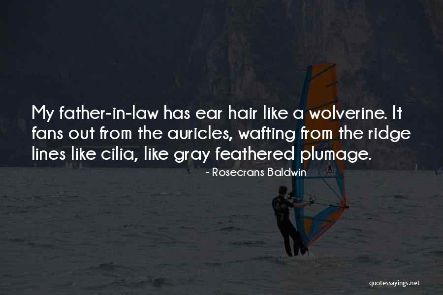 Rosecrans Quotes By Rosecrans Baldwin Rosecrans Quotes By Rosecrans Baldwin