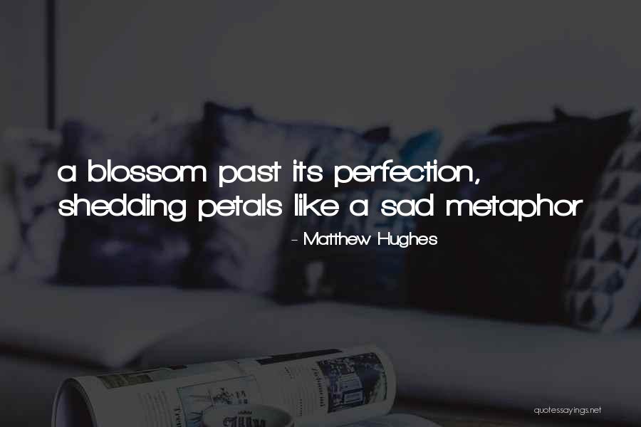 Rosegger Quotes By Matthew Hughes Rosegger Quotes By Matthew Hughes