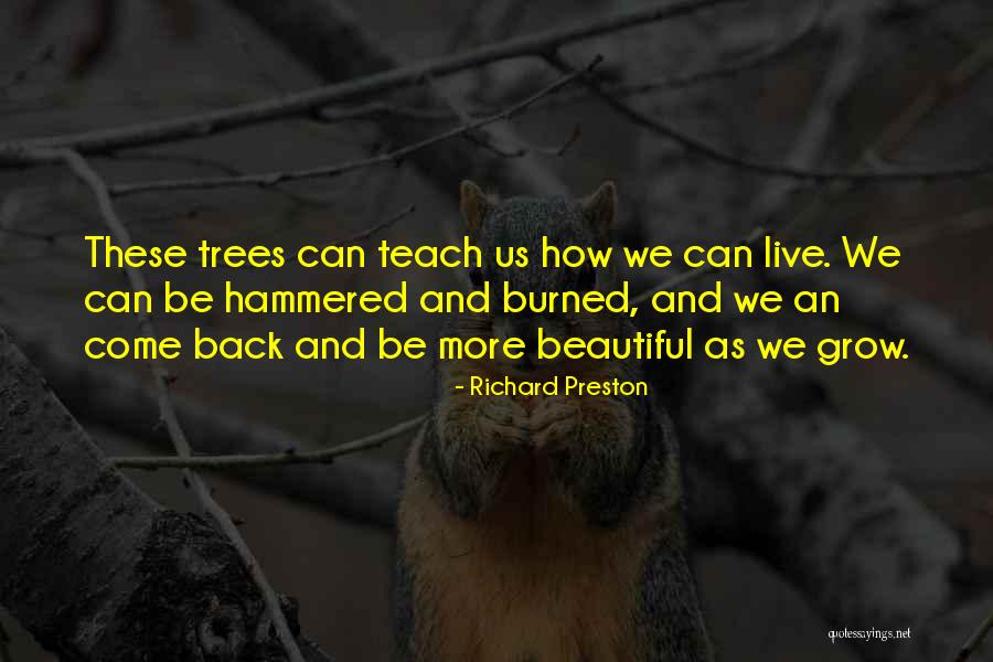 Rosegger Quotes By Richard Preston Rosegger Quotes By Richard Preston