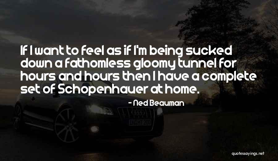 Roseleaf Sage Quotes By Ned Beauman Roseleaf Sage Quotes By Ned Beauman