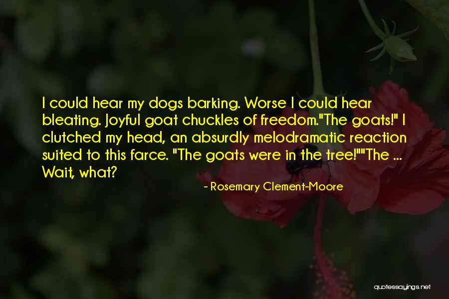 Rosemary Clement-Moore Quotes 667054 Rosemary Clement-Moore Quotes 667054