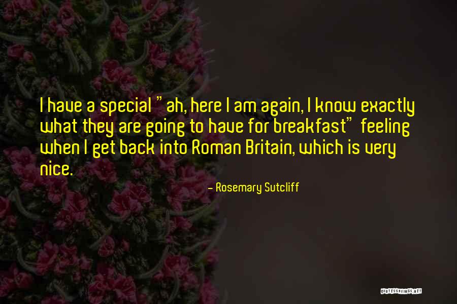 Rosemary Sutcliff Quotes 630911