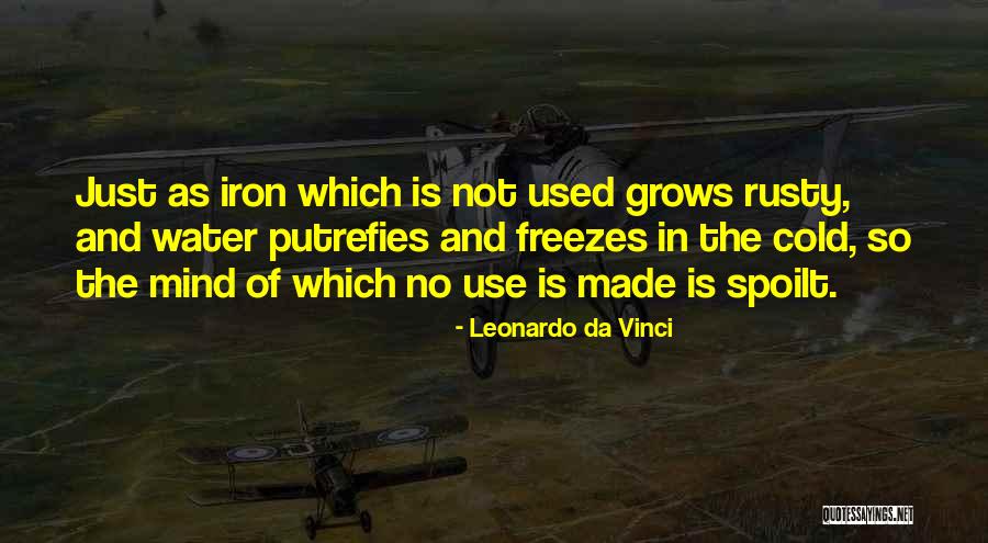 Rosenauer Nachbarschaft Quotes By Leonardo Da Vinci Rosenauer Nachbarschaft Quotes By Leonardo Da Vinci