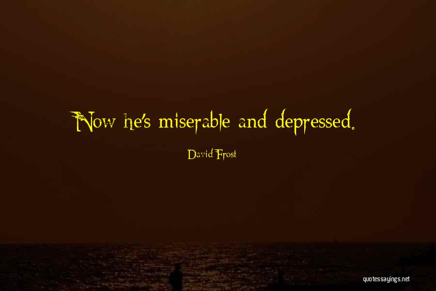 Rosenbergs Spies Quotes By David Frost