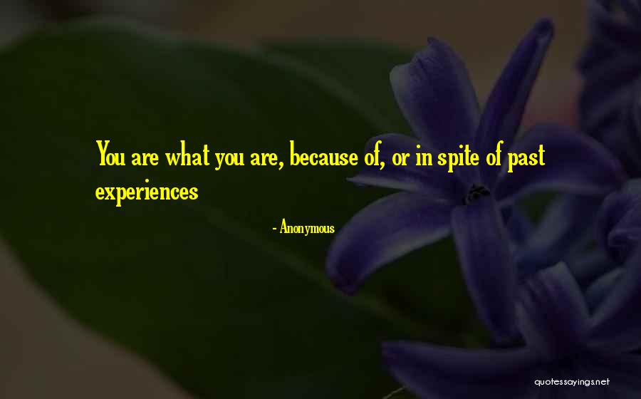 Rosenblooms Furniture Quotes By Anonymous Rosenblooms Furniture Quotes By Anonymous