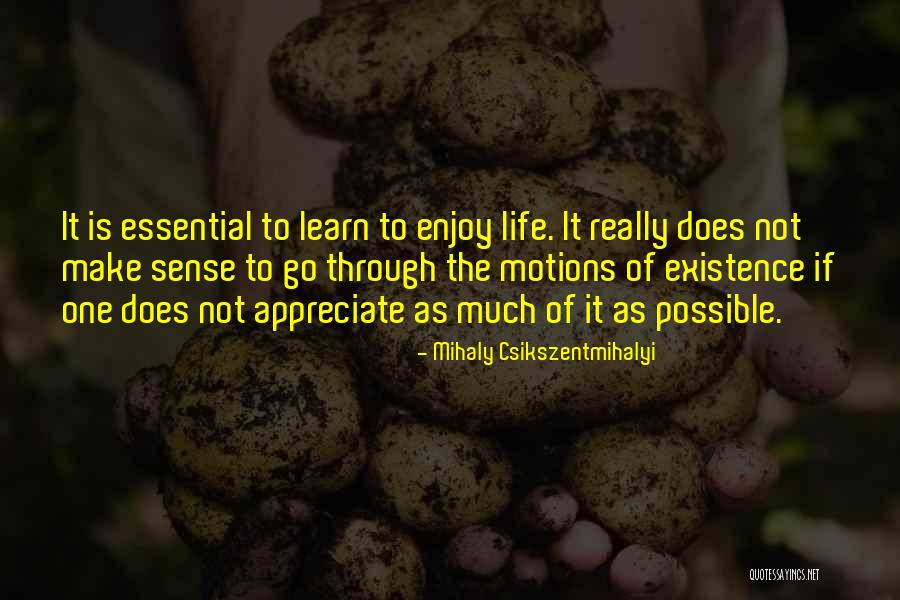 Rosenfelder Surname Quotes By Mihaly Csikszentmihalyi