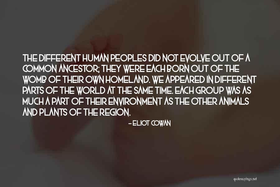 Rosenow Elementary Quotes By Eliot Cowan Rosenow Elementary Quotes By Eliot Cowan