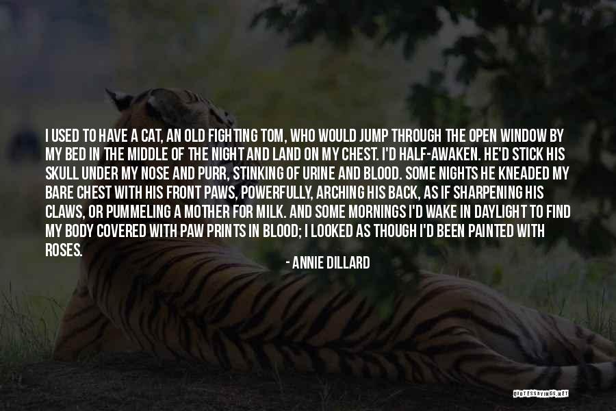 Roses And Blood Quotes By Annie Dillard