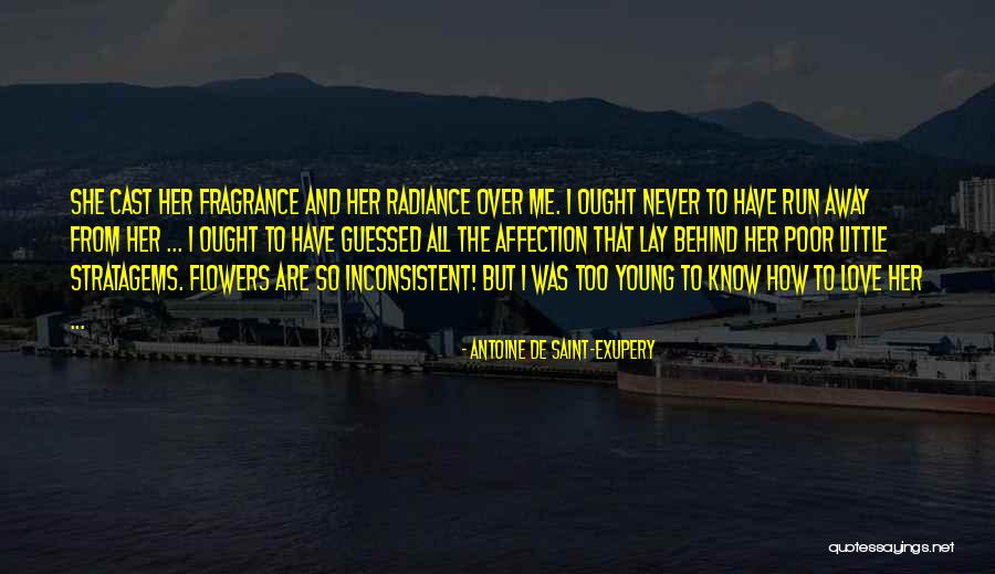 Roses And Flowers Quotes By Antoine De Saint-Exupery Roses And Flowers Quotes By Antoine De Saint-Exupery