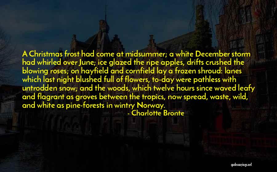 Roses And Flowers Quotes By Charlotte Bronte Roses And Flowers Quotes By Charlotte Bronte