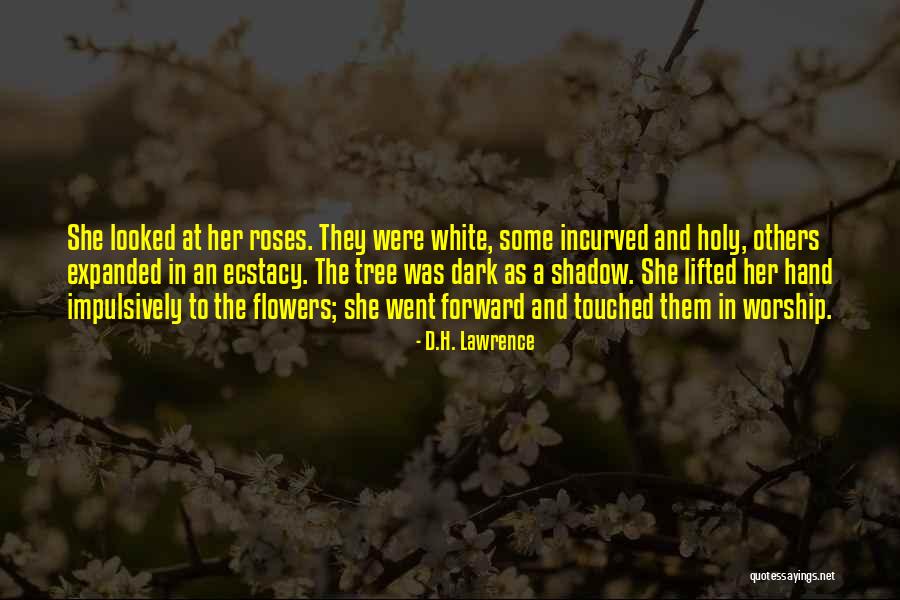 Roses And Flowers Quotes By D.H. Lawrence Roses And Flowers Quotes By D.H. Lawrence