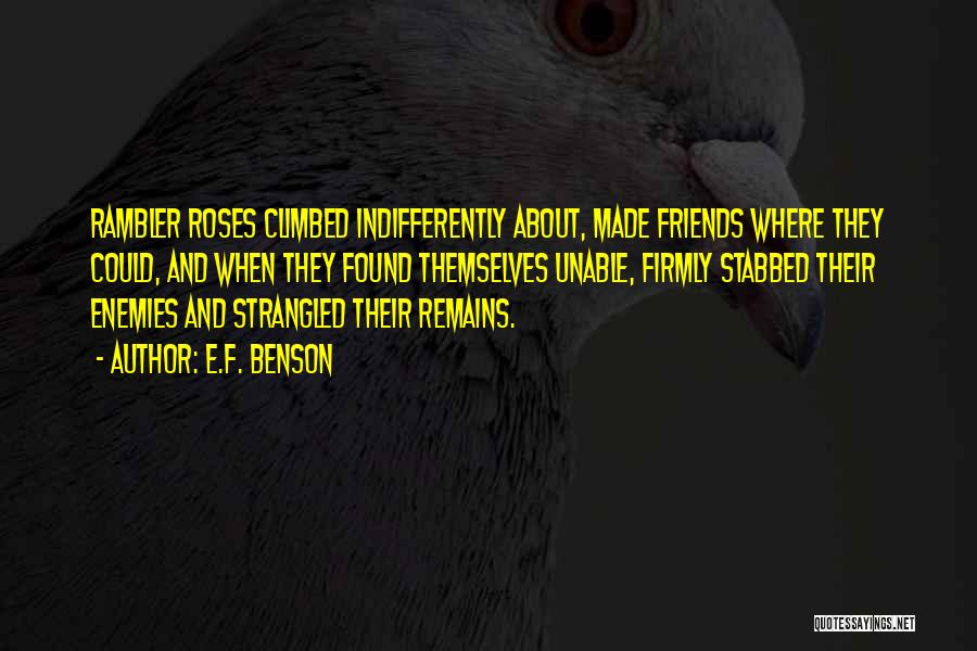 Roses And Friends Quotes By E.F. Benson