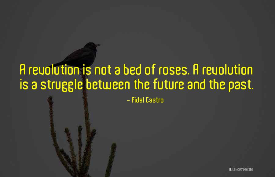 Roses And Time Quotes By Fidel Castro Roses And Time Quotes By Fidel Castro