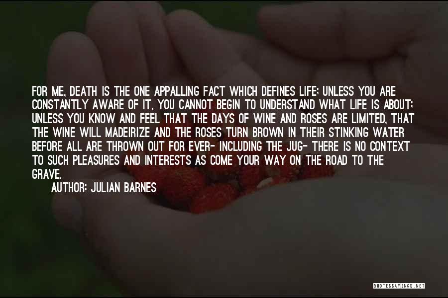 Roses And Wine Quotes By Julian Barnes