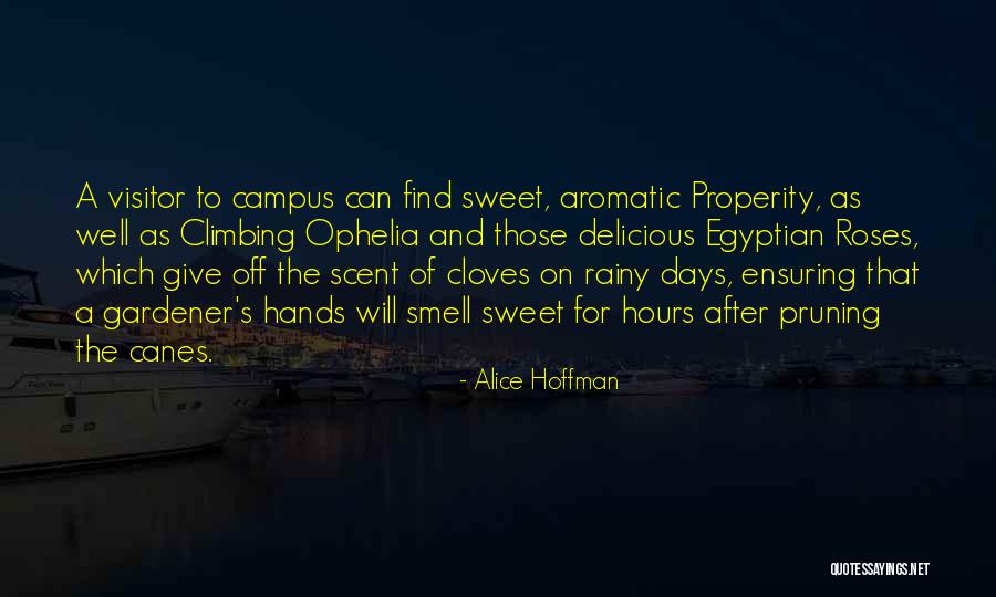 Roses Smell Quotes By Alice Hoffman Roses Smell Quotes By Alice Hoffman