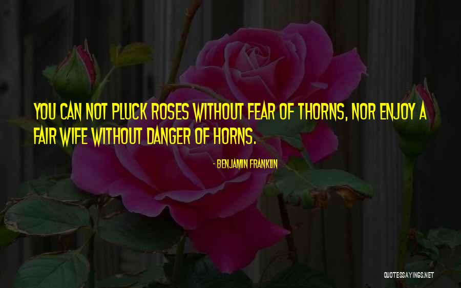 Roses Thorns Quotes By Benjamin Franklin