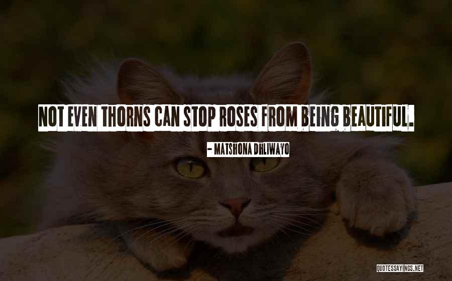 Roses Thorns Quotes By Matshona Dhliwayo