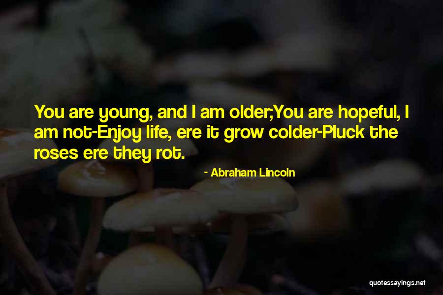 Roses You Can Grow Quotes By Abraham Lincoln Roses You Can Grow Quotes By Abraham Lincoln