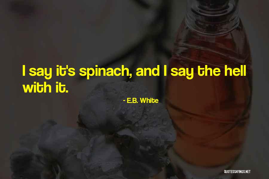 Rosetted Savannah Quotes By E.B. White