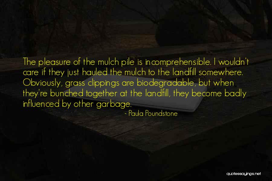 Roshambo South Quotes By Paula Poundstone Roshambo South Quotes By Paula Poundstone