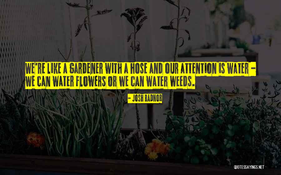 Roshanak Nateghi Quotes By Josh Radnor Roshanak Nateghi Quotes By Josh Radnor