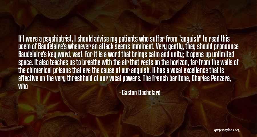 Roshanda Jones Quotes By Gaston Bachelard Roshanda Jones Quotes By Gaston Bachelard