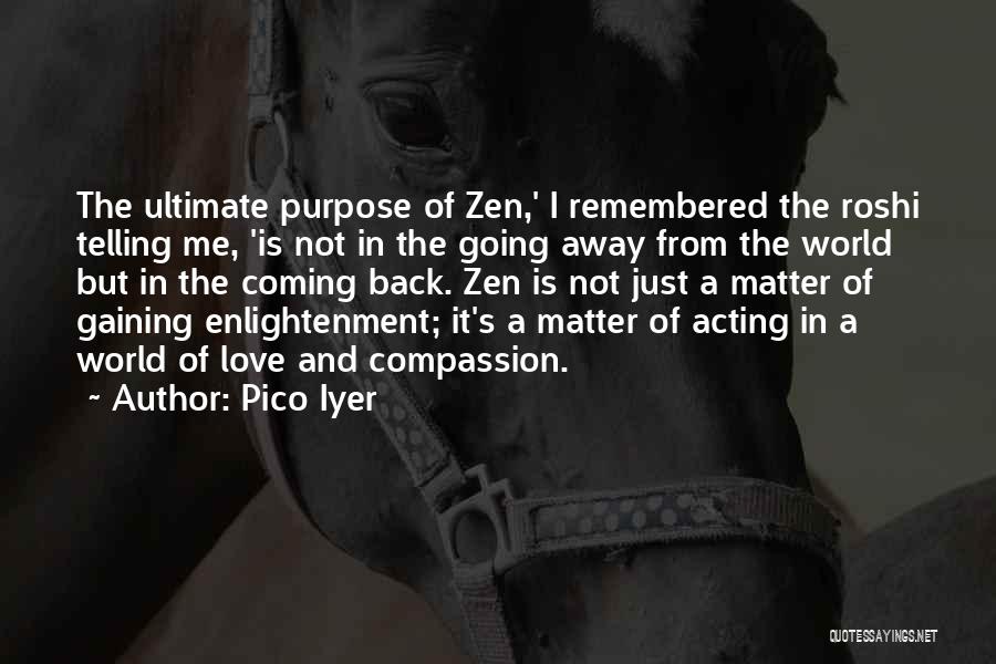 Roshi Quotes By Pico Iyer