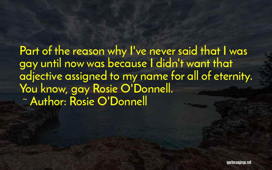 Rosie O'Donnell Quotes 525717