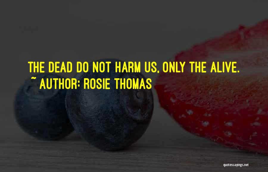 Rosie Thomas Quotes 1704176