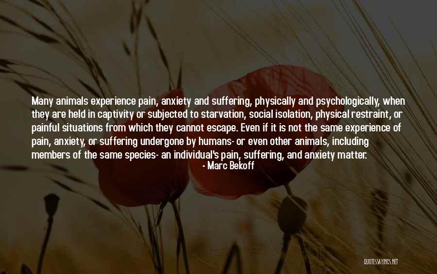 Rosillo And Isles Quotes By Marc Bekoff Rosillo And Isles Quotes By Marc Bekoff